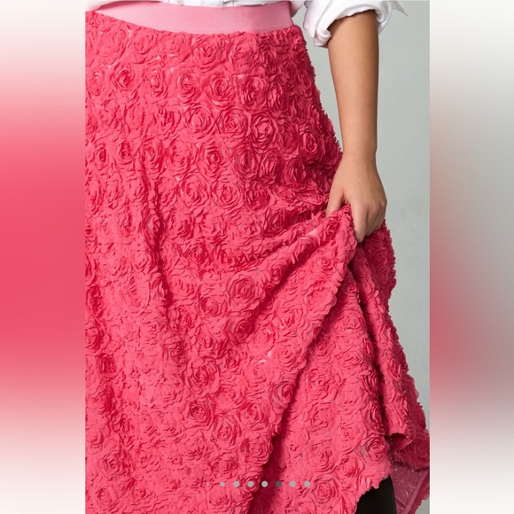 NWT Anthropologie Maeve Floral Appliqué Skirt - Roses Skirt - Size Large - Picture 7 of 16